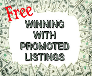 Winning with Promoted Listings