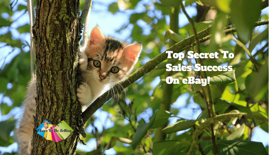 Top Secret To Sales Success On eBay!