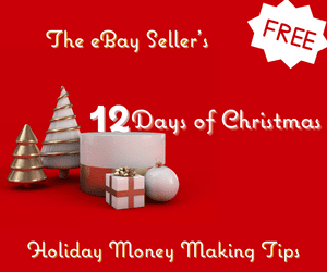 Free 12 Days of Christmas Tips