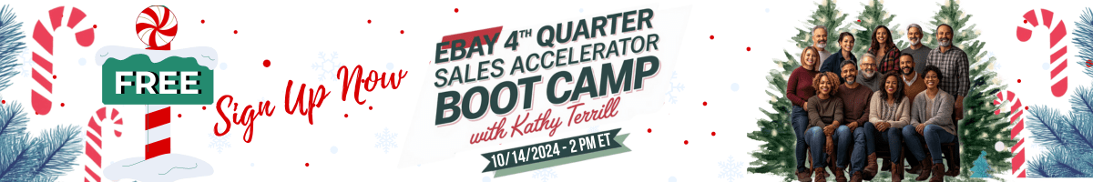 eBay 4th Quarter Sales Accelerator Boot Camp