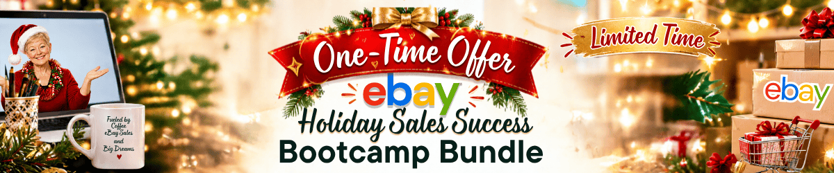 Holiday Sales Success 2026 1XOffer